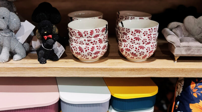 Aktualności psb mrowka nasielsk 1 dzien jesieni 9 800x445 Aktualności