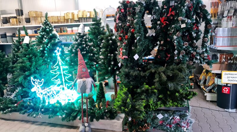 Aktualności choinki wience2 800x445 Aktualności